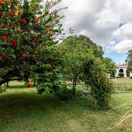 Agriturismo Monte Scala Taglio di Po Exterior foto